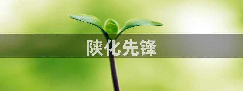 球盟会用的客服聊天是哪个软件：陕化先锋