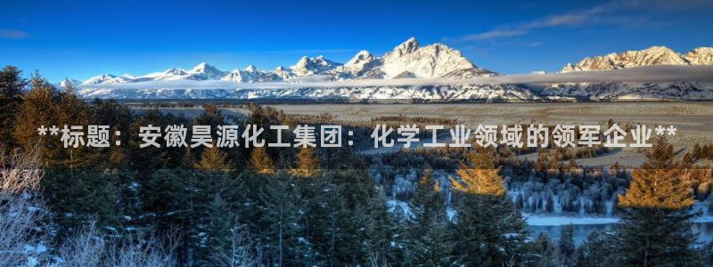 球盟会黑款吗知乎：**标题：安徽昊源化工集团：化学工业领域的