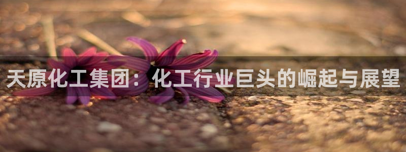 球盟会有限公司怎么样