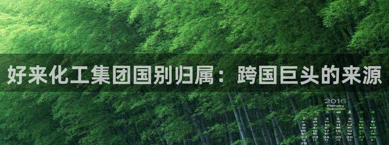 球盟会体育app官方网站：好来化工集团国别归属：跨国巨头的来