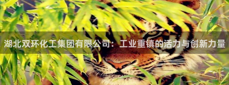 球盟会游戏几点玩合适：湖北双环化工集团有限公司：工业重镇的活