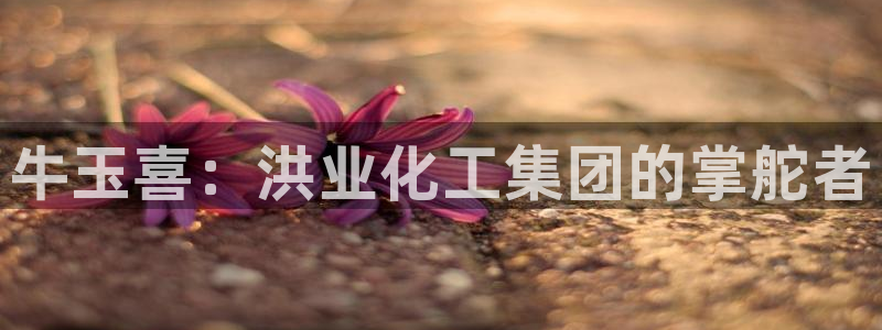 球盟会官方登录平台