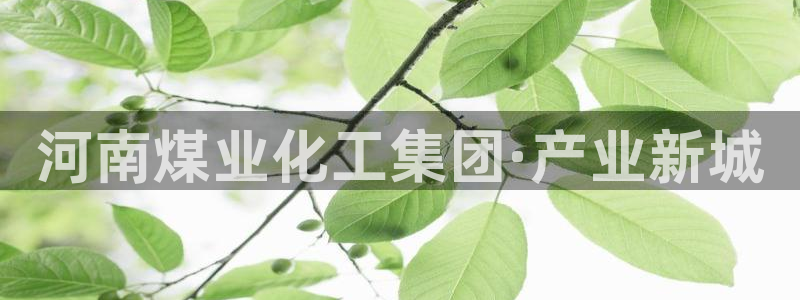 球盟会在线登入：河南煤业化工集团·产业新城