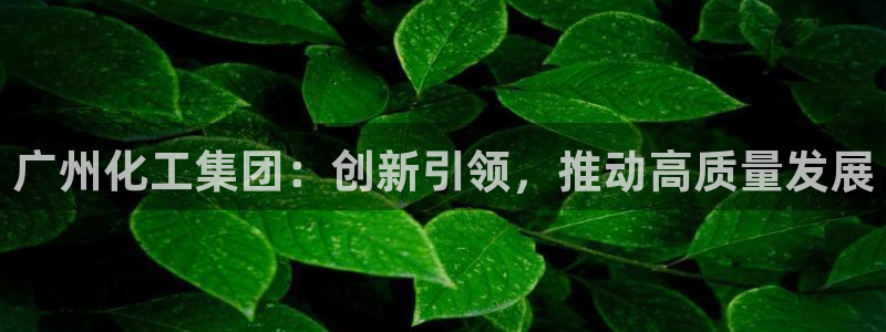 球盟会封号：广州化工集团：创新引领，推动高质量发展