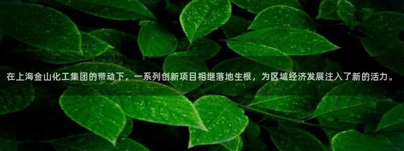 球盟会APP最新地址：在上海金山化工集团