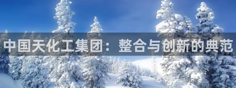 球盟会体验金：中国天化工集团：整合与创新的典范