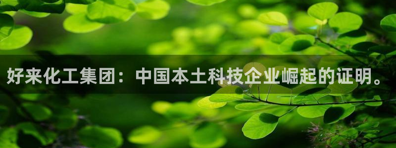 球盟会类似的网站：好来化工集团：中国本土