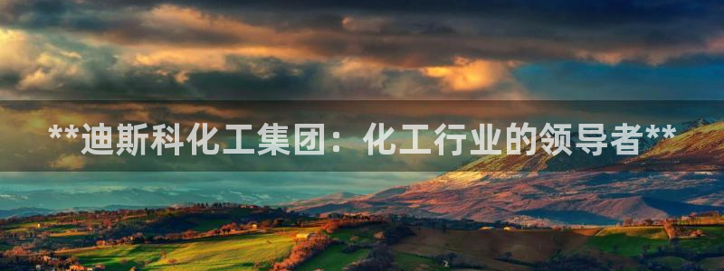 球盟会app最新地址下载安装：**迪斯科化工集团：化工行业的