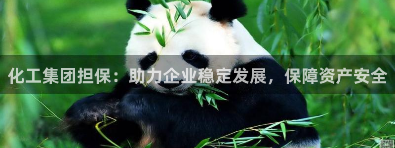 球盟会qm9：化工集团担保：助力企业稳定发展，保障资产安全