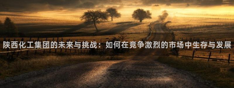 球盟会最新活动：陕西化工集团的未来与挑战：如何在竞争激烈的市