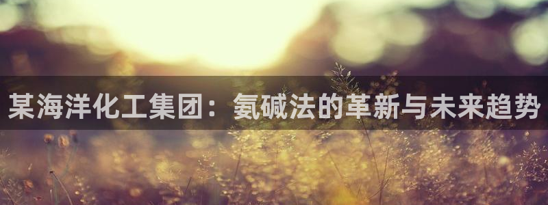 球盟会中国网页登录：某海洋化工集团：氨碱