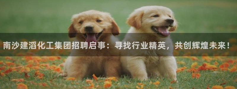 球盟会体育app官方网站：南沙建滔化工集