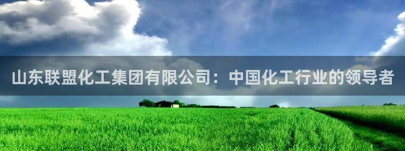球盟会黑款吗：山东联盟化工集团有限公司：中国化工行业的领导者