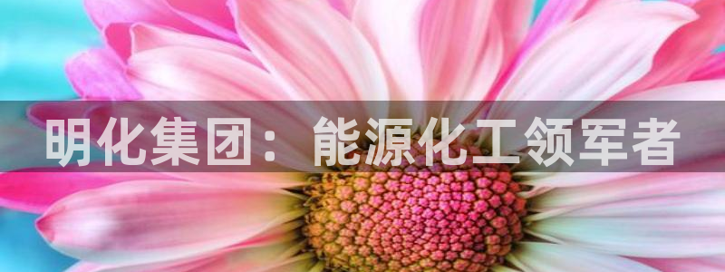 球盟会登录入口：明化集团：能源化工领军者
