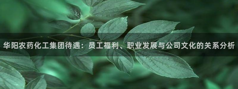 球盟会网页版：华阳农药化工集团待遇：员工福利、职业发展与公司
