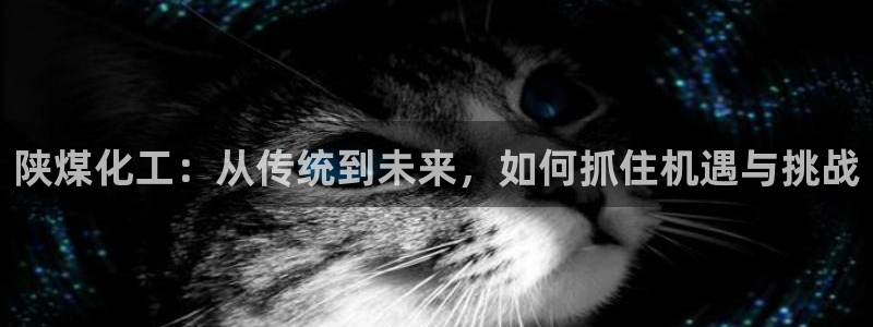 球盟会黑台：陕煤化工：从传统到未来，如何抓住机遇与挑战