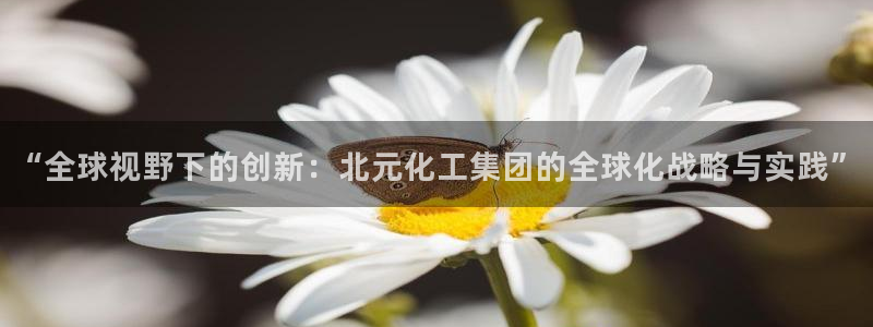 球盟会有没有黑单的人：“全球视野下的创新：北元化工集团的全球