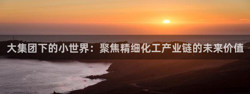 球盟会可以提现么是真的吗：大集团下的小世界：聚焦精细化工产业